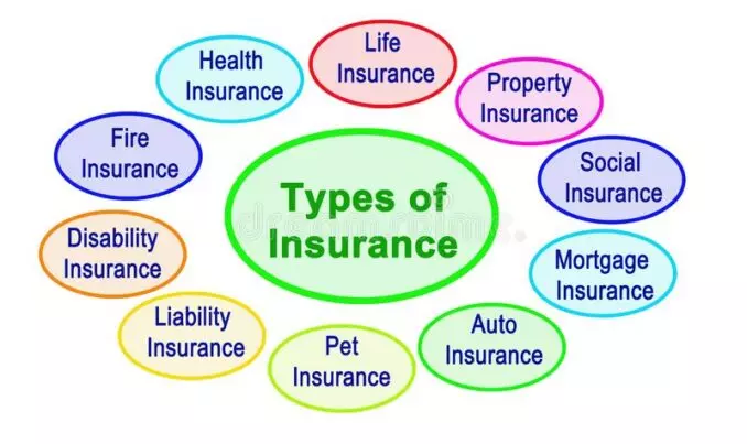 A Comprehensive Guide to Different Types of Insurance Companies || Types of insurance
